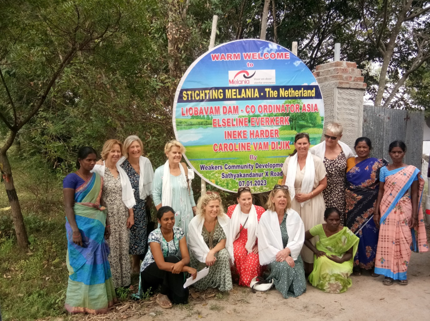 Volunteer Activity 3